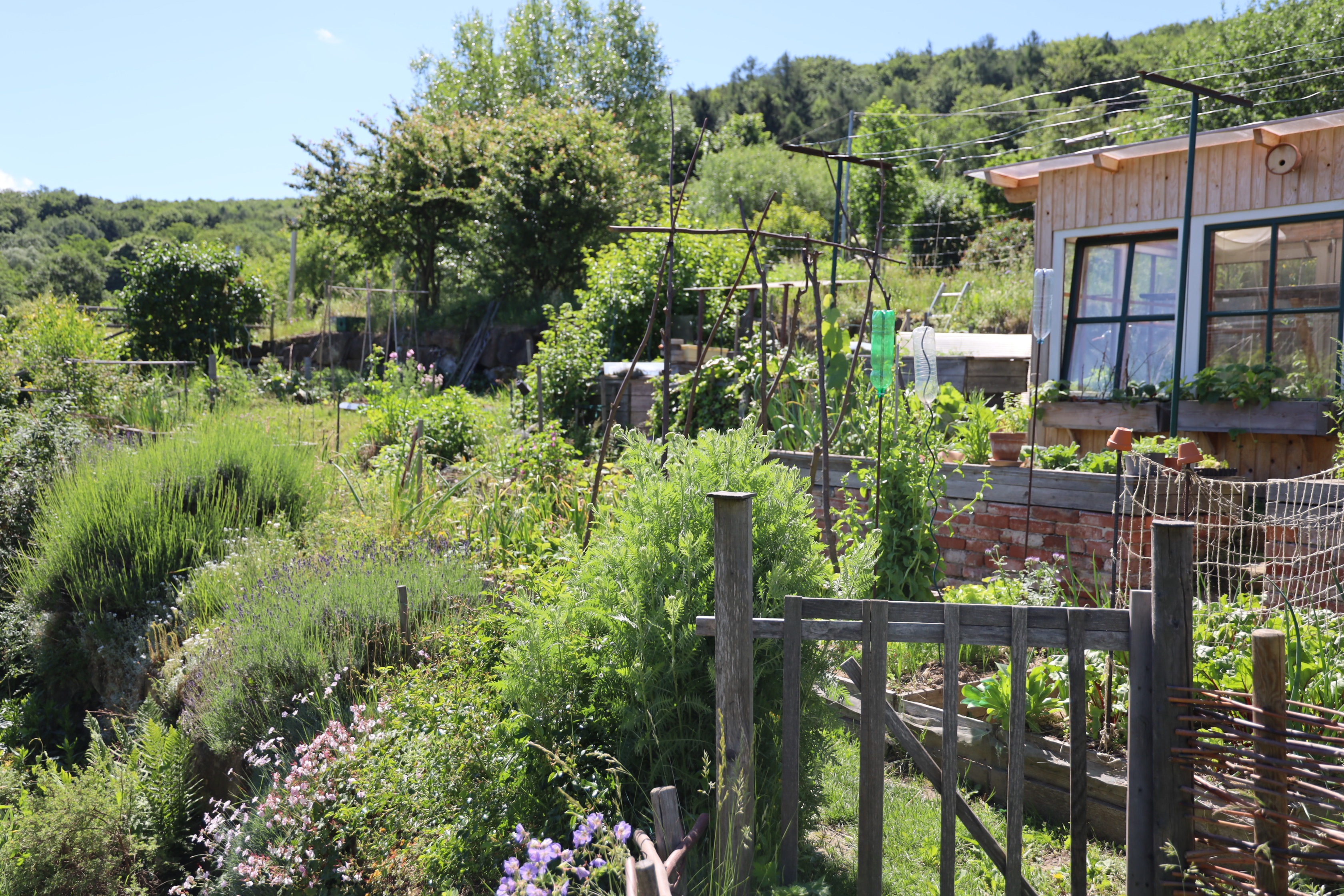 Gartenlandschaft – TOG Juni 2026