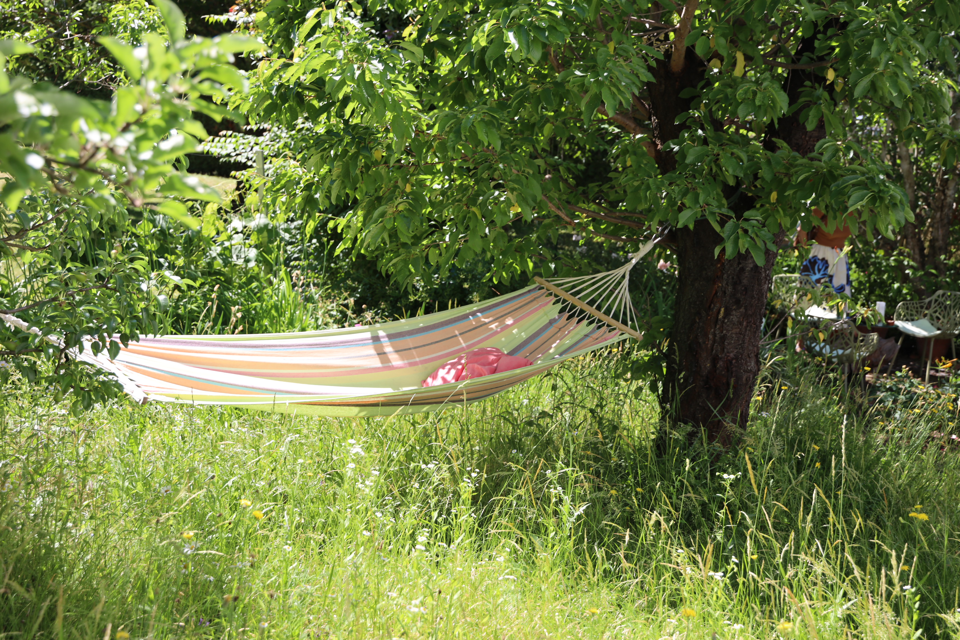 Gartenlandschaft – TOG Juni 2026