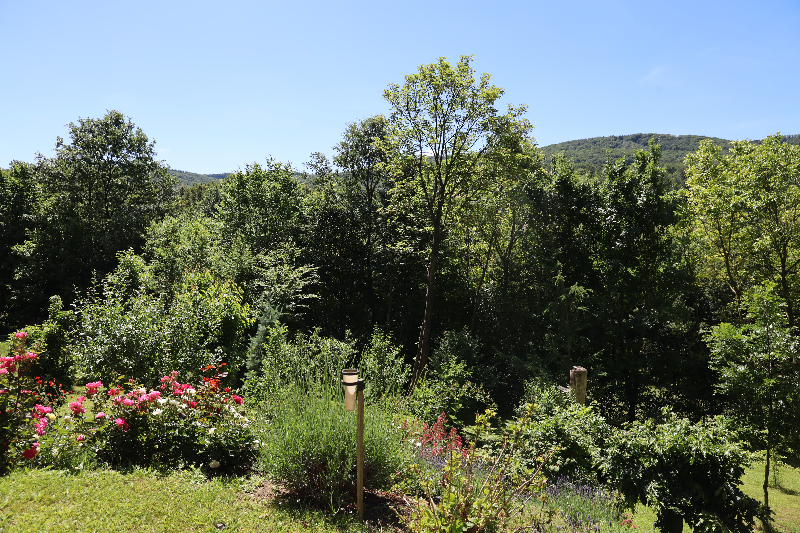 Gartenlandschaft – TOG Juni 2026