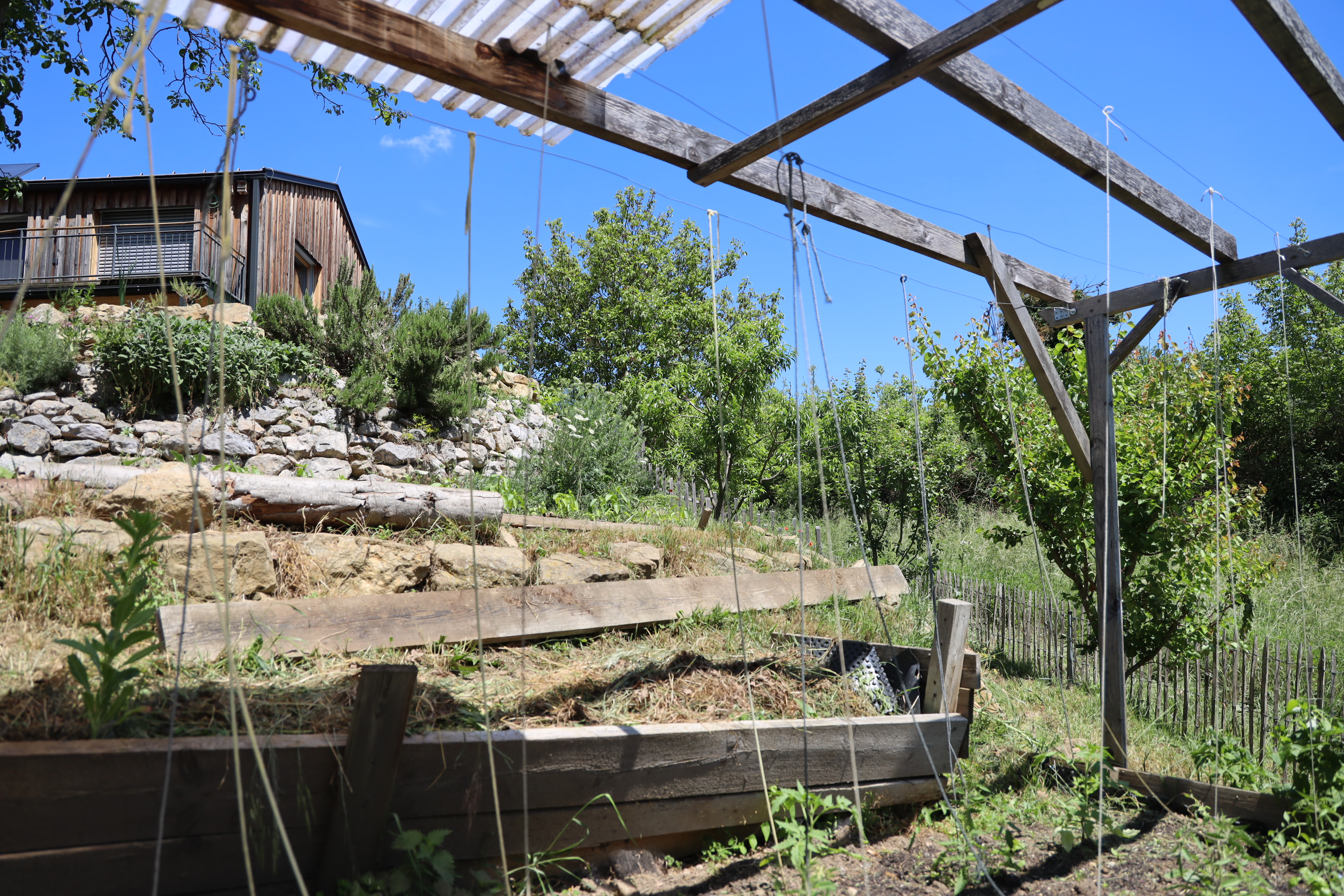 Gartenlandschaft – TOG Juni 2026