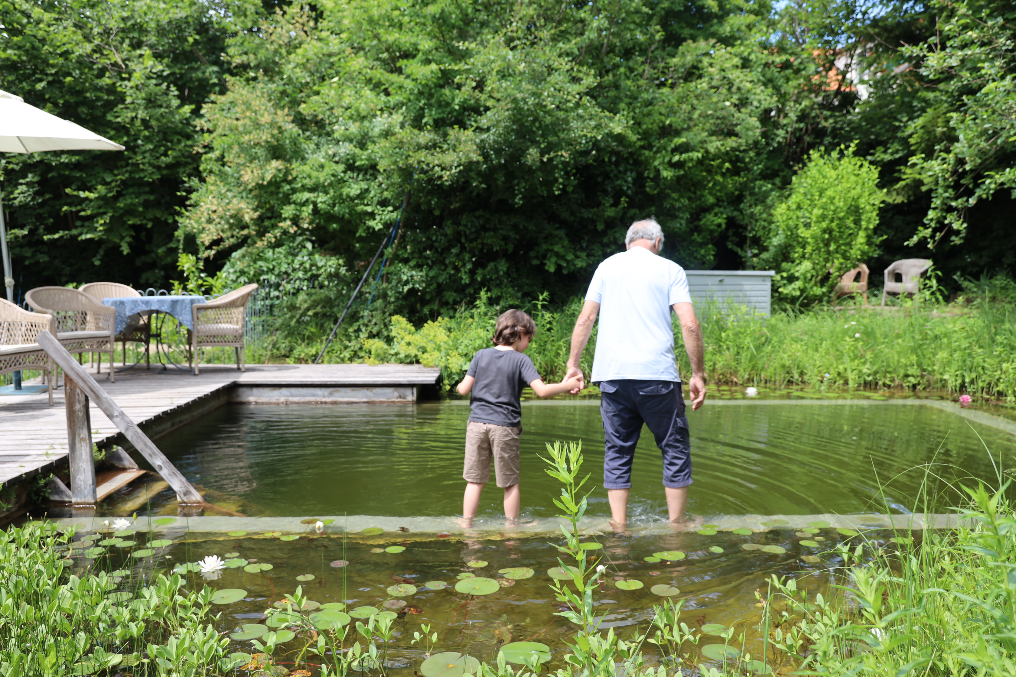 Gartenlandschaft – TOG Juni 2026