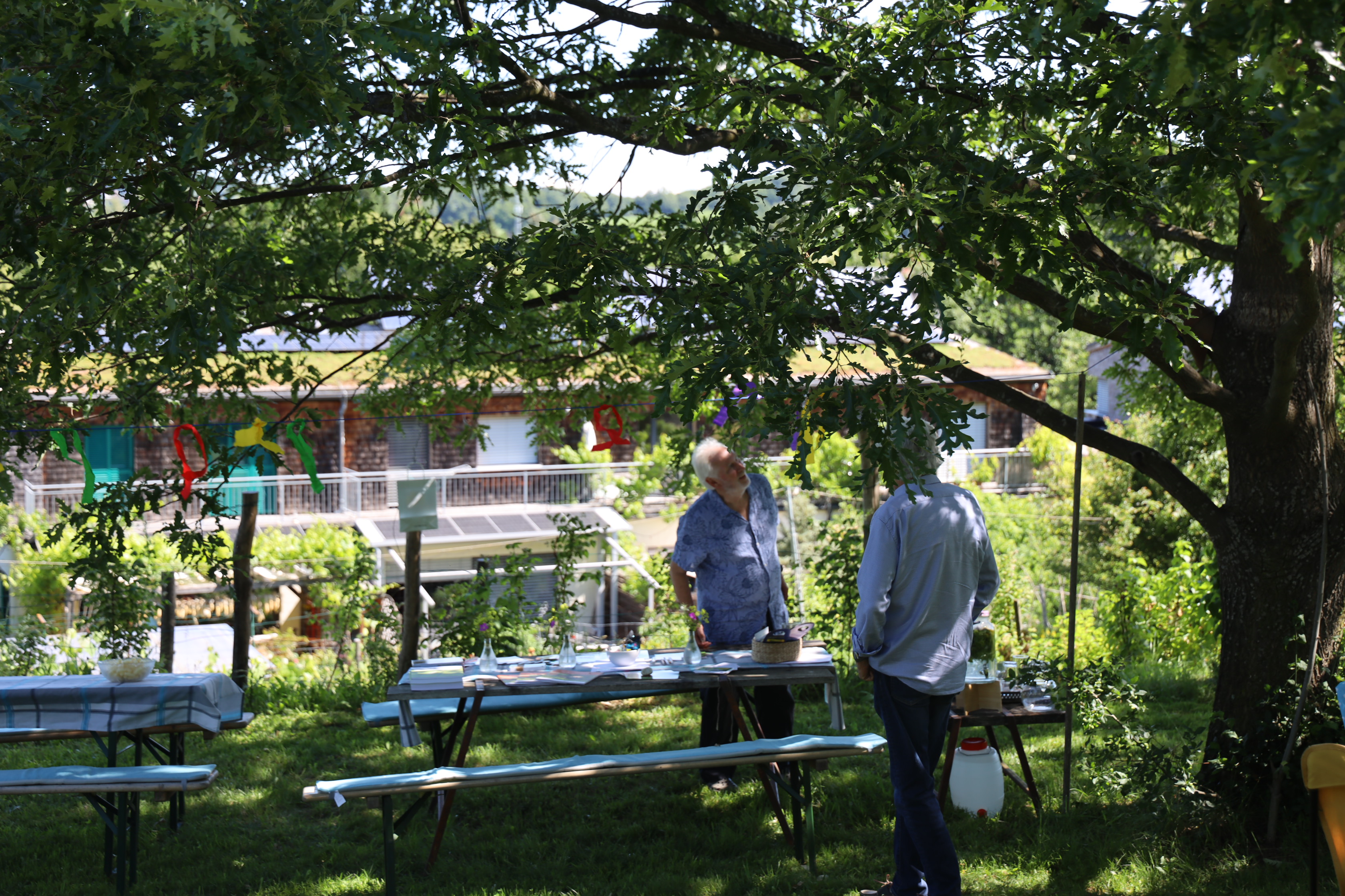 Gartenlandschaft – TOG Juni 2026