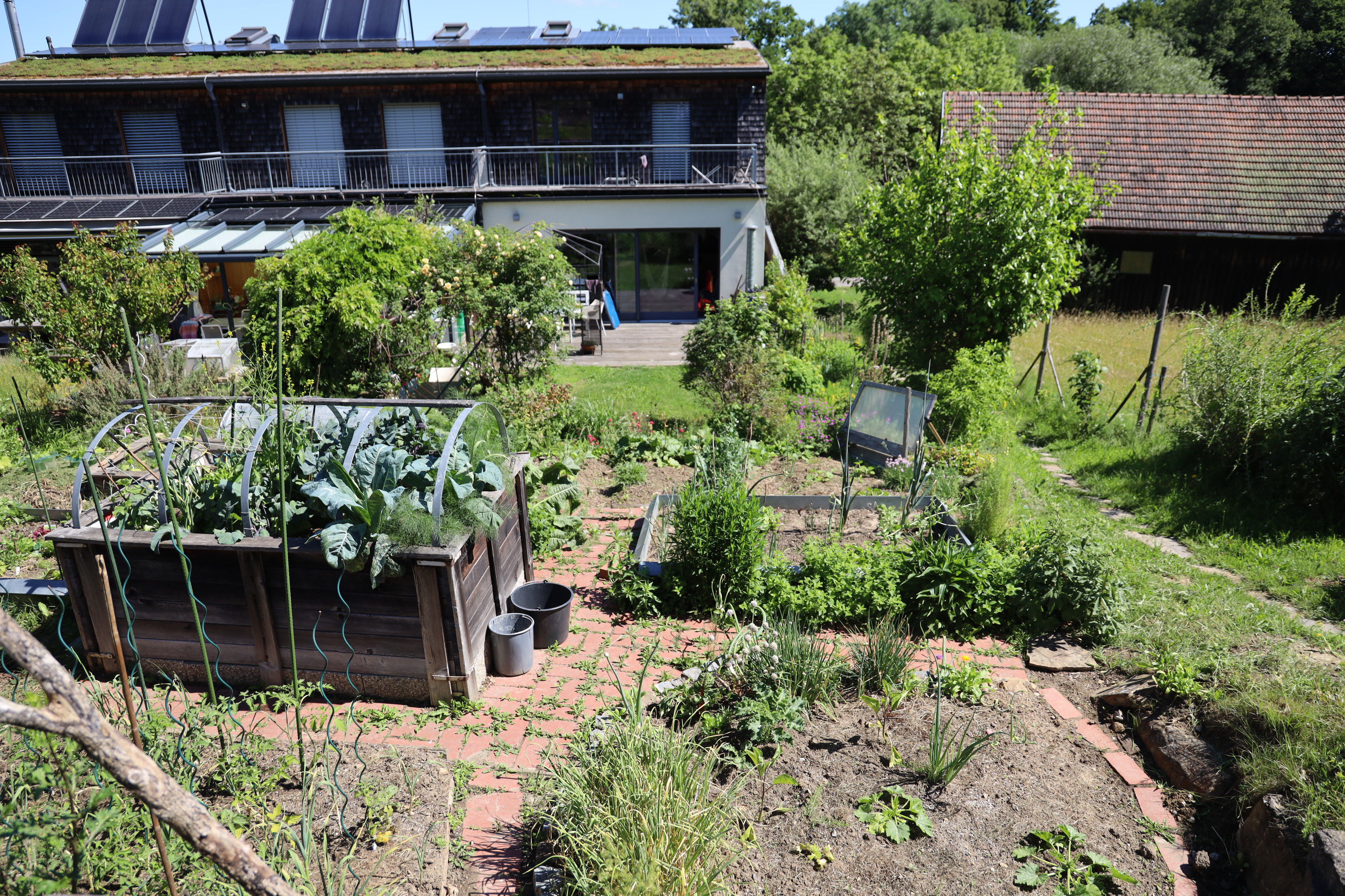 Gartenlandschaft – TOG Juni 2026